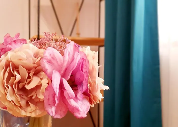 Art Lejlighed Braşov