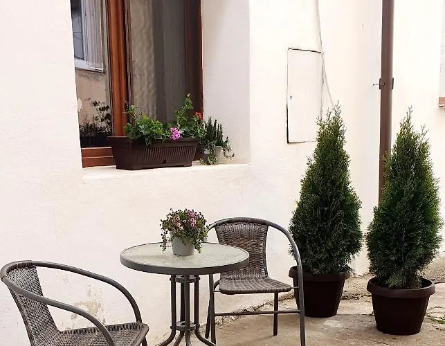 Art Lejlighed Braşov